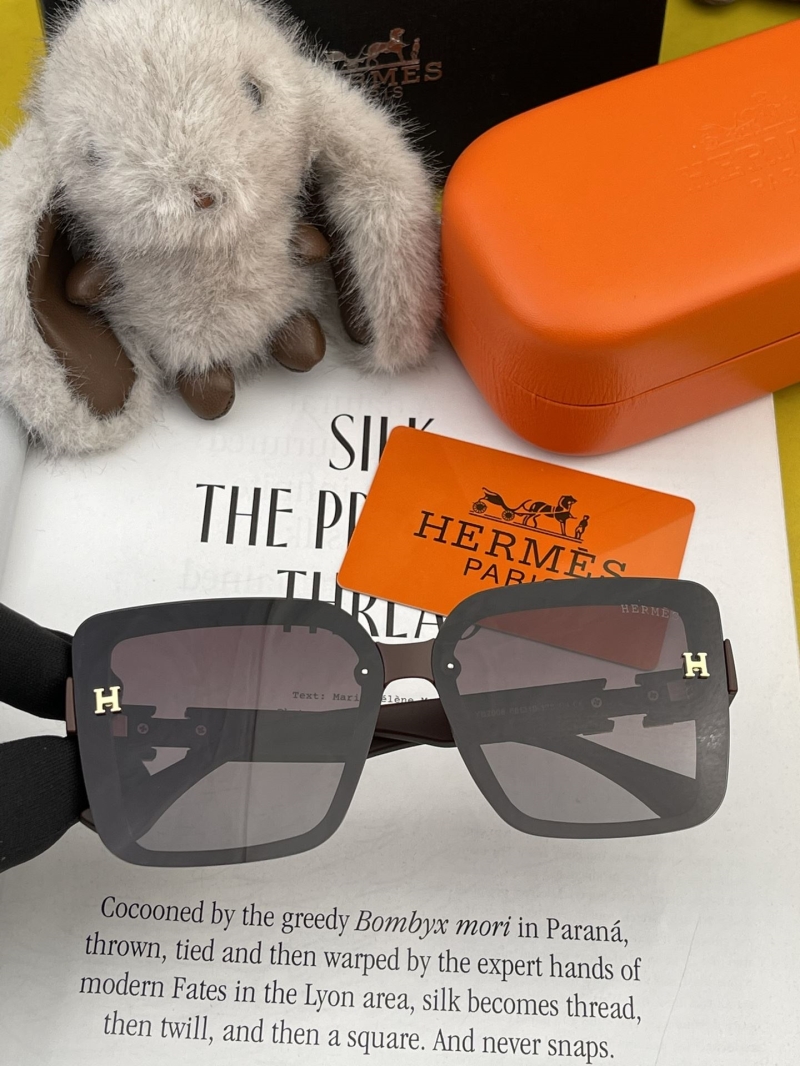 Hermes Sunglasses